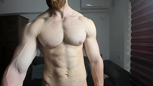 ZkkBlitz