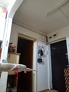 Evadesirex46 webcam