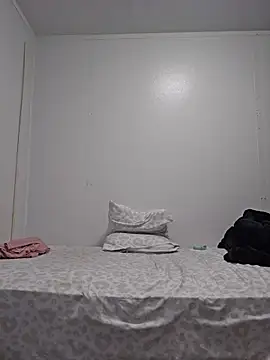 Edw95S webcam