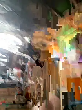 Lion21s webcam