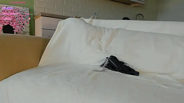 SwiiityKiss webcam