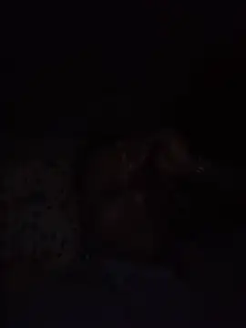 pussysandwitchboy