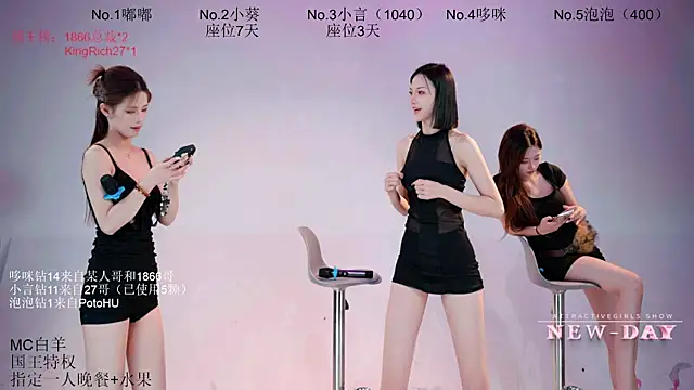 NEW-DAY live cam