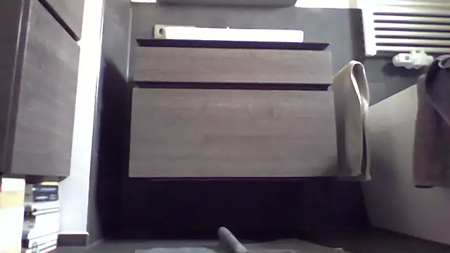 JAK-81 webcam