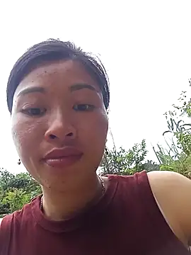 Hiniyk2 webcam