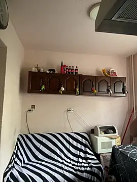 MikyVesela webcam