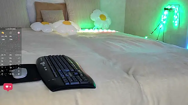 Roseaa webcam