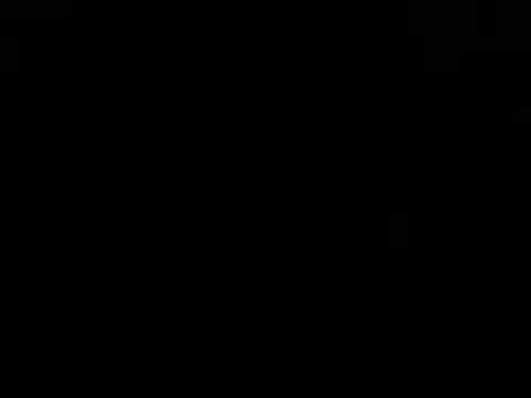 Blkstylion webcam