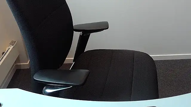 Buggemann webcam