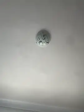 SweetCurvess webcam