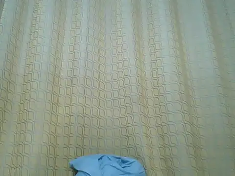 Dixie_driver1 webcam
