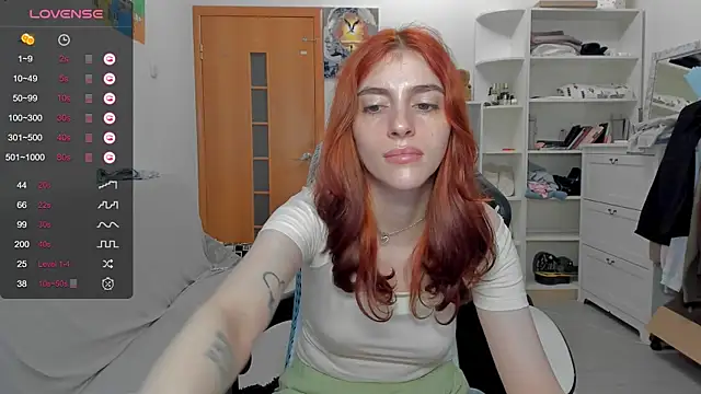 broosnica1 webcam