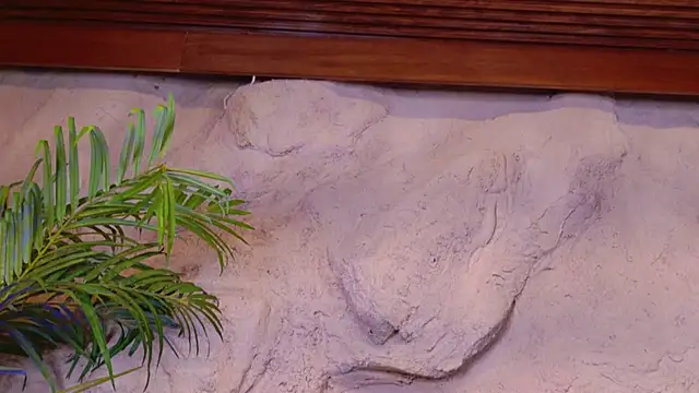 ScarlettSinclaiir webcam