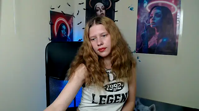 StellaCRL webcam