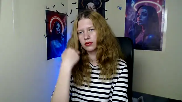 StellaCRL webcam