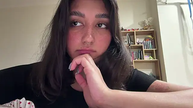 PaintedDisplay webcam