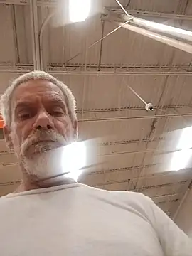 Biknight live cam