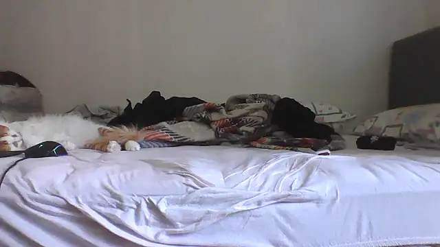 MarkusBerq_H webcam