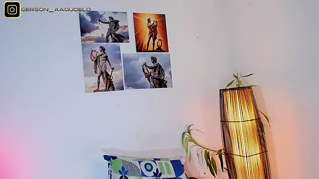 Gersonzt webcam