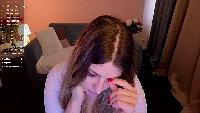 evafolver webcam