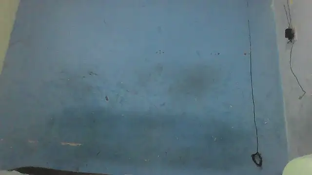 thasmyni webcam