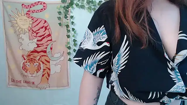 VeryVeryVeryShy_ webcam