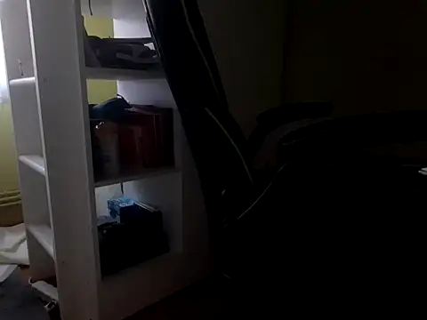 feathersify webcam
