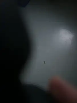 yinyin326 live sex cam