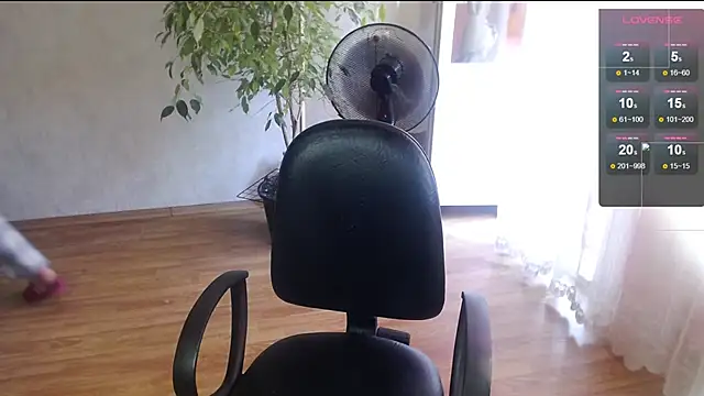 Victory80lvl webcam