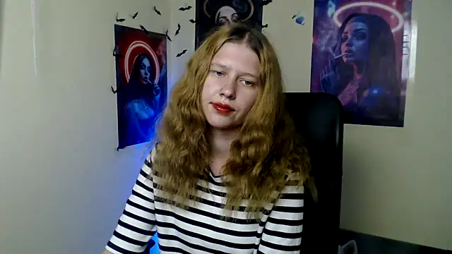 StellaCRL webcam