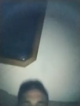 TrappingTransit webcam