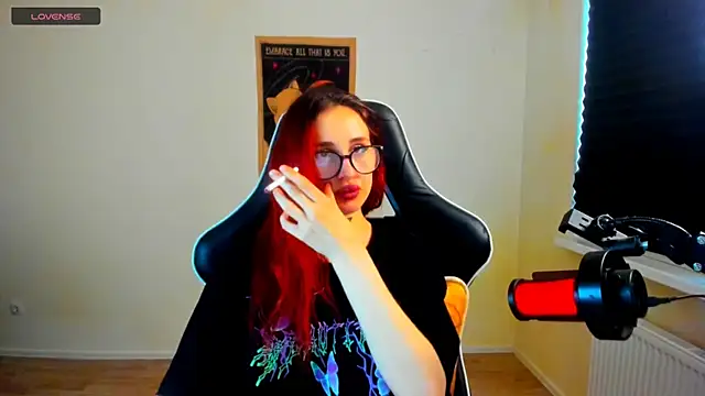 your_tora webcam