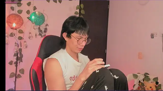 odelei webcam