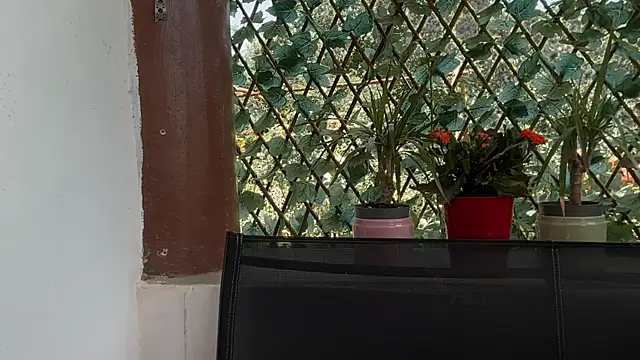 karo123421