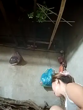 nangmo live cam on StripChat