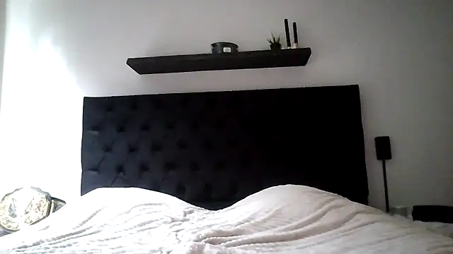 avajade webcam