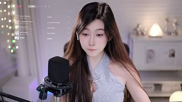 SleepArtist webcam