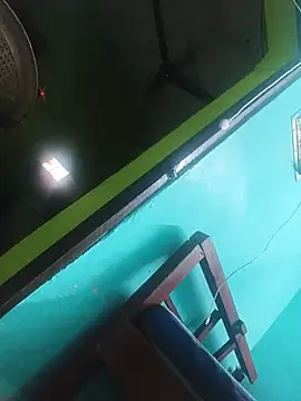 Villageanuty webcam