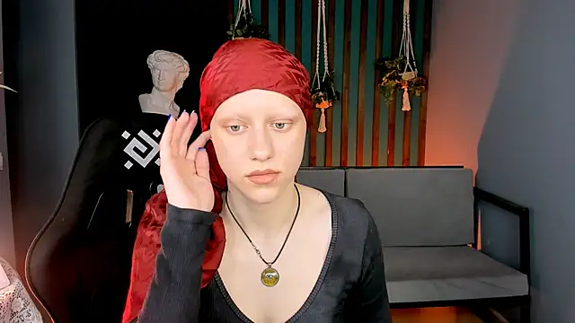 LidaDarknet webcam
