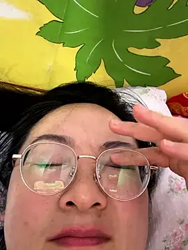 h-139431 webcam