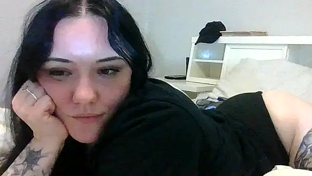 altravenn webcam