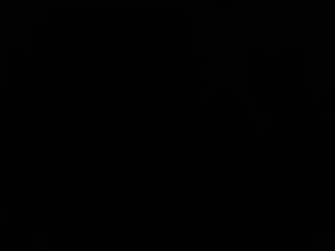 Blkstylion webcam