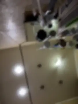 NikaMur live cam