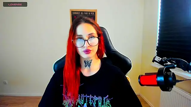 your_tora webcam