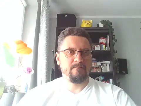 19cmSlave webcam