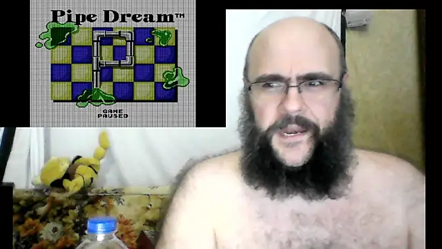 BriTheTopBear webcam