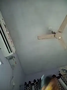 Hansikatelugu webcam