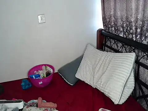 Whimsicalwillow webcam