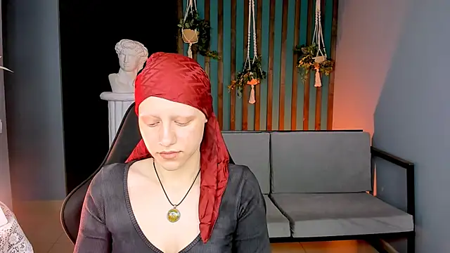 LidaDarknet webcam