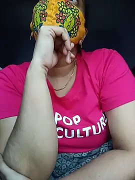 Hansikatelugu webcam